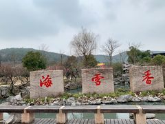 -香雪海
