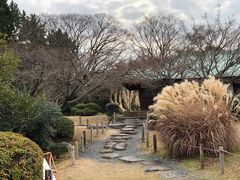 -名古屋城