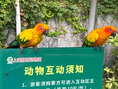 -上海野生动物园