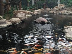-龙达温泉生态城