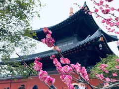 -广富林郊野公园