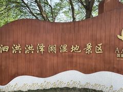 -泗洪洪泽湖湿地景区