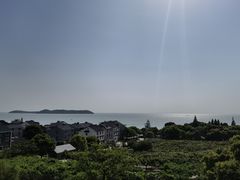 -香雪海