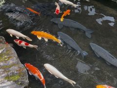 -聚福宝合苑食府(南头镇店)