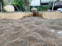 -三江森林温泉度假区