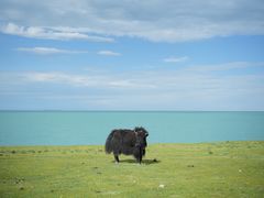 -青海湖国家重点风景名胜区
