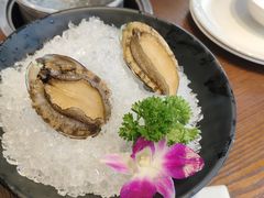 -东海怡品海鲜豆捞(舟宿夜江店)