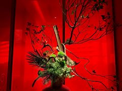 -星·South Beauty·俏江南(国贸店)