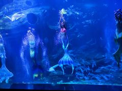 -多彩贵州城极地海洋世界