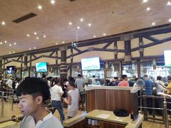 大堂-雨林餐厅(长隆海洋王国店)