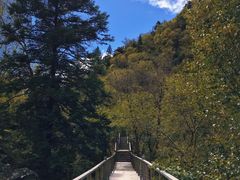 景点-叠溪松坪沟景区