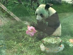-临沂动植物园