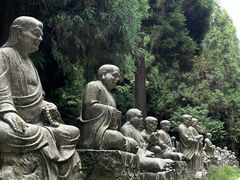 -武陵山森林公园