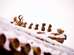 -故宫博物院(故宫)