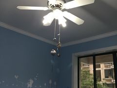 -喵的天空名猫咖啡馆·撸猫·猫舍·用品