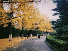 景点-淮海战役纪念馆
