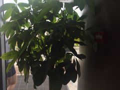 -苏州吴中太湖旅游区