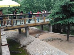 -石家庄市动物园