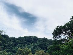 -广州市白云山风景名胜区
