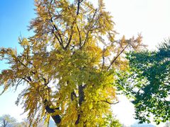 -终南山古楼观历史文化景区