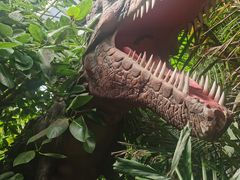-呀路古热带植物园