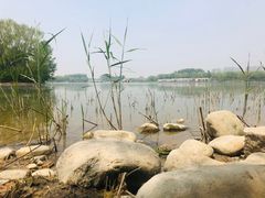 -大兴滨河森林公园