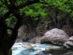 -鄣山大峡谷