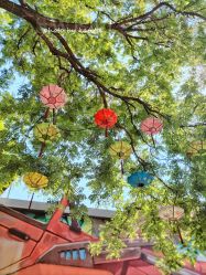 -飞览天下沉浸式飞行体验(北京旗舰店)