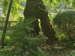 -汇龙潭
