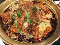-友乐居羊蝎子(西直门店)