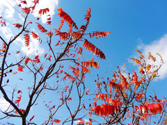 景点-百里山水画廊乌龙峡谷