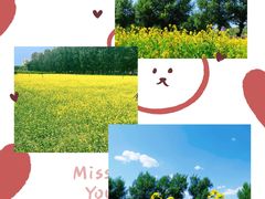 -长白岛森林公园