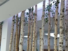-极简口腔(总院)