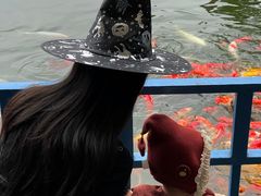-南湖梦幻岛