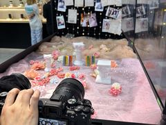 -Sony Store 索尼(上海淮海中路店)