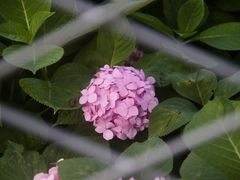 -临平公园(临平街道)
