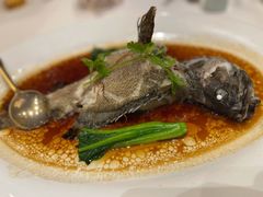 清蒸珍珠龙趸鱼-顺峰(农展馆店)