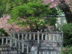 -乌山风景区