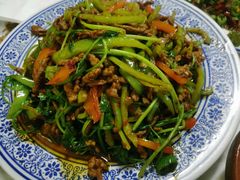 香菜炒牛肉丝-新新湘菜馆(新中街二条店)