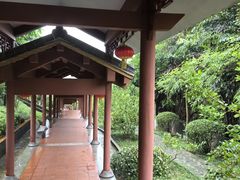 -广州神农草堂中医药博物馆