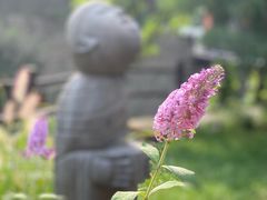 -Local泰莲庭(虹鳟鱼店)