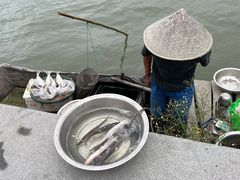 -东钱湖旅游度假区