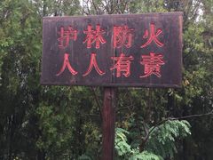 -水池山公园