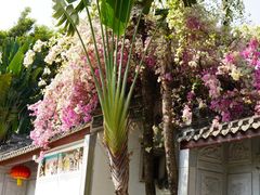 -深圳国际园林花卉博览园