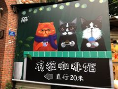 -有猫主题·治愈系猫咖(曾厝垵店)