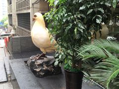 -琬苑鸽庄·川粤融合菜(解放碑总店)