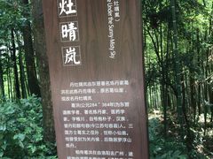 -潜山国家森林公园