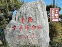 -洛阳古墓博物馆