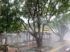 -清迈夜间动物园