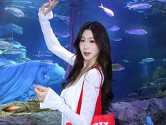 -沈阳海洋探索中心